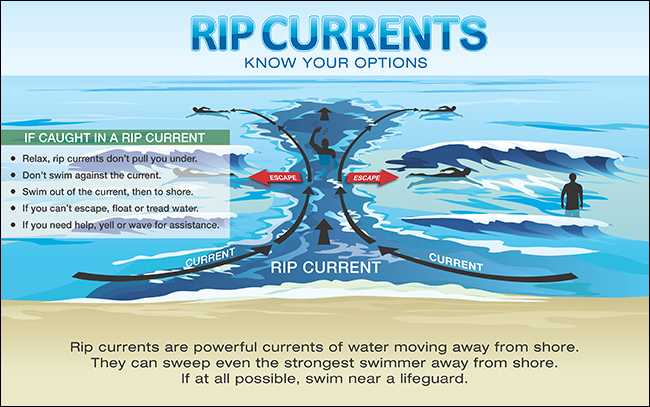 Rip Currents