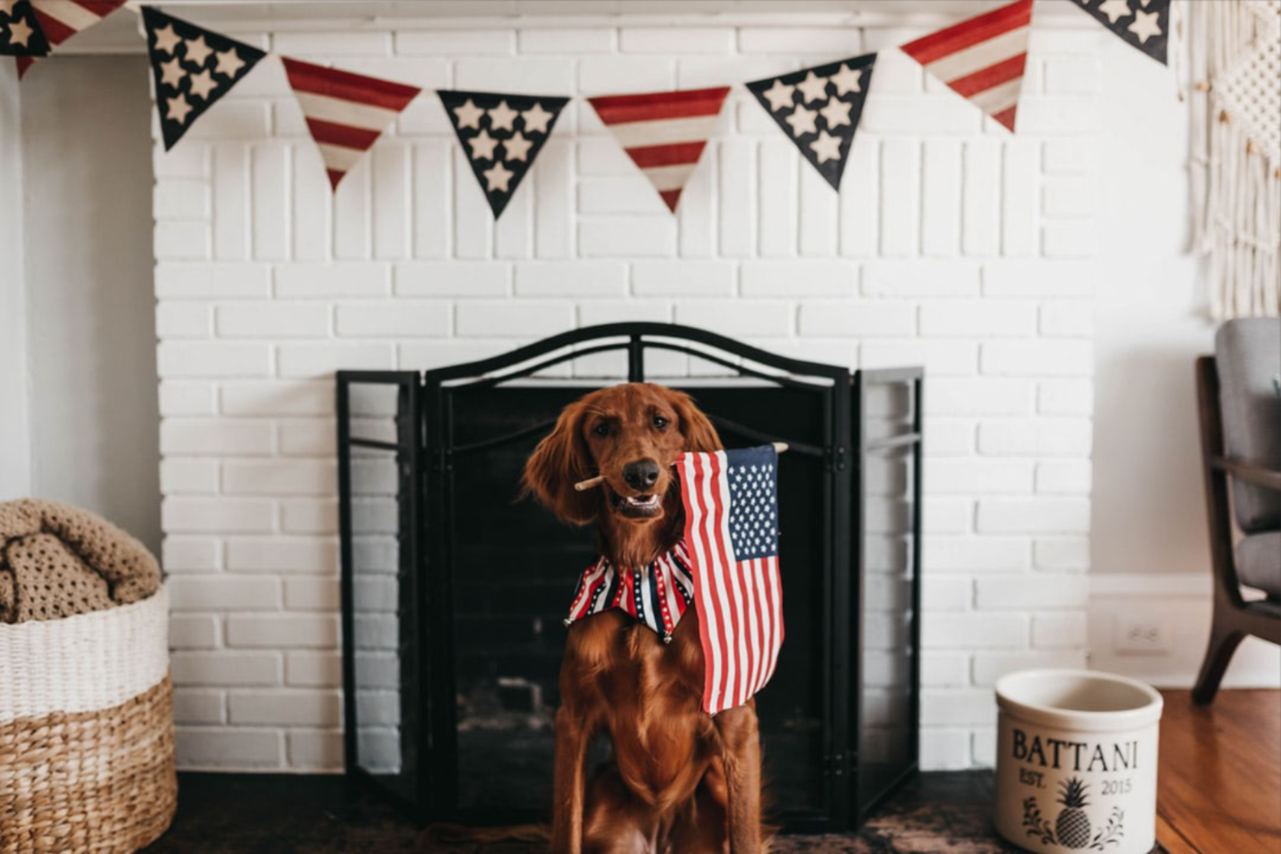 July 4 Pet Safety Tips
