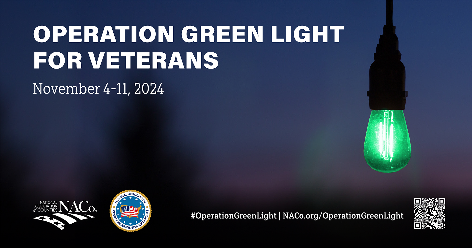 Beaufort County Celebrates November with Operation Green Light for Veterans- Administration Buildings Lighted Green in Recognition