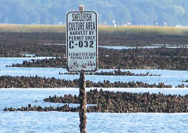 SC Department of Natural Resources Using Several County Boat Landings for Annual Shellfish Bed Reseeding