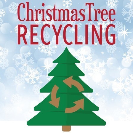 Christmas Tree Recycling