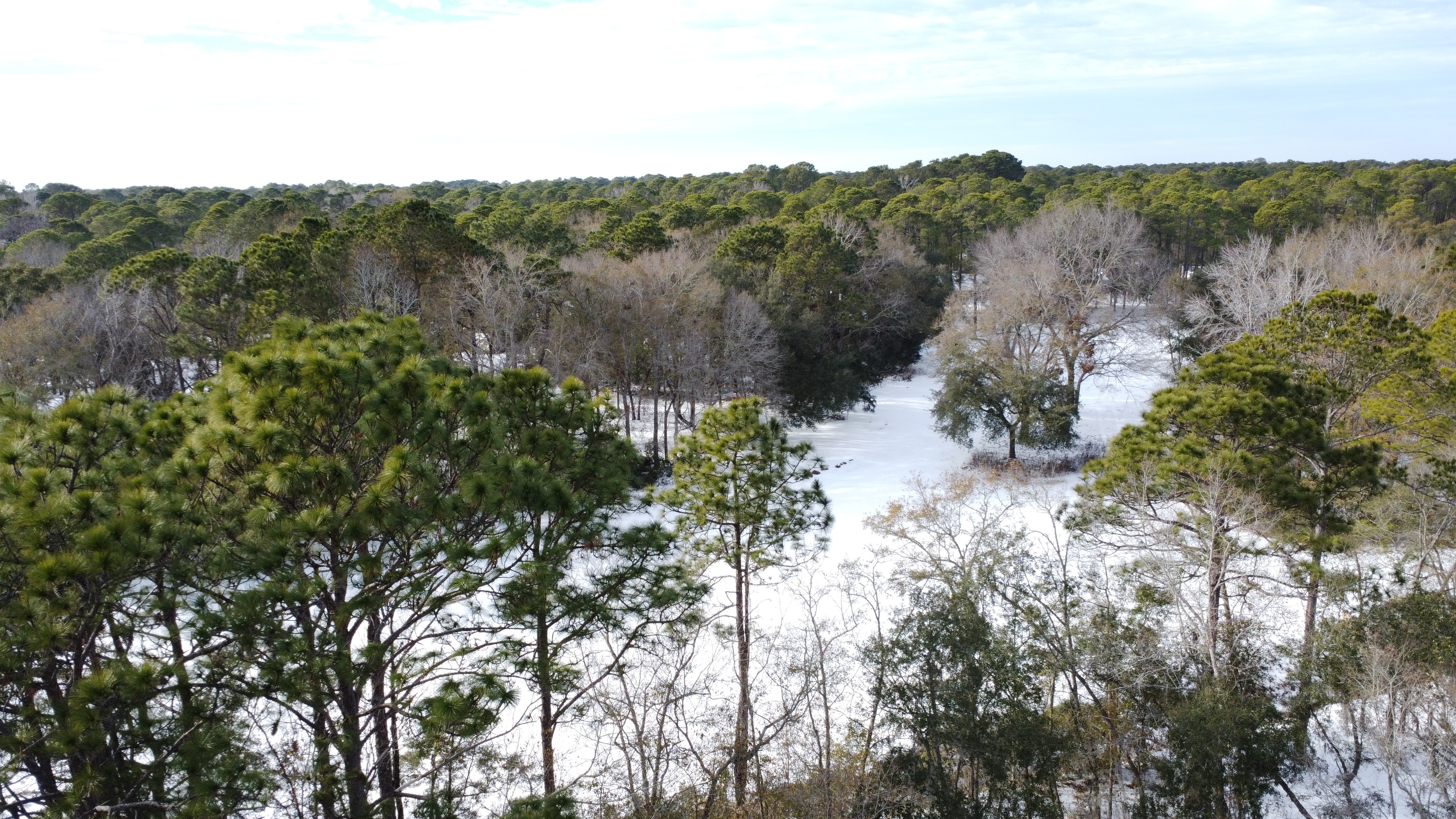 Beaufort County Operations Update